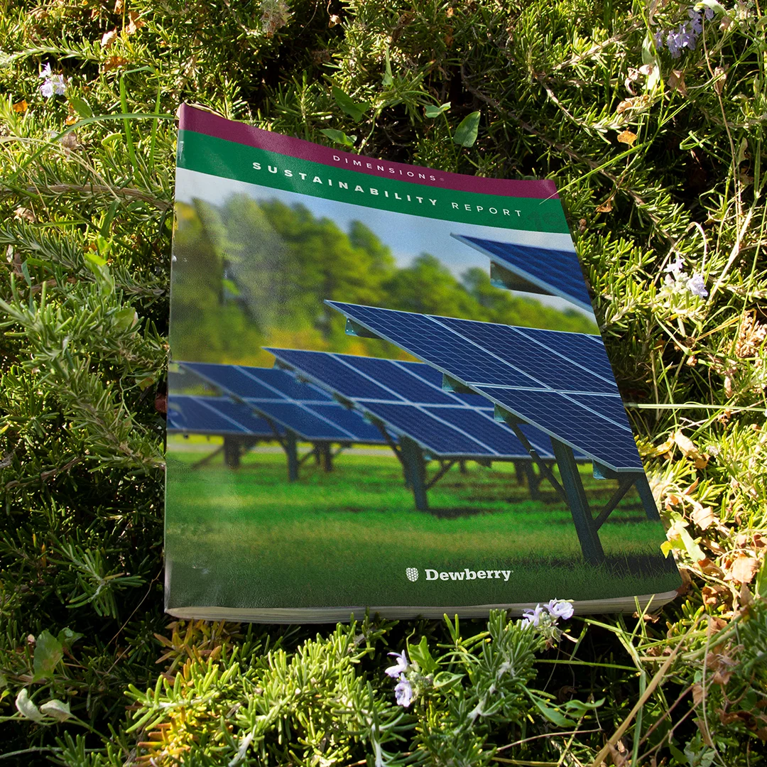 Stephen-Bushey_Dimensions-Sustainability-Report-Cover